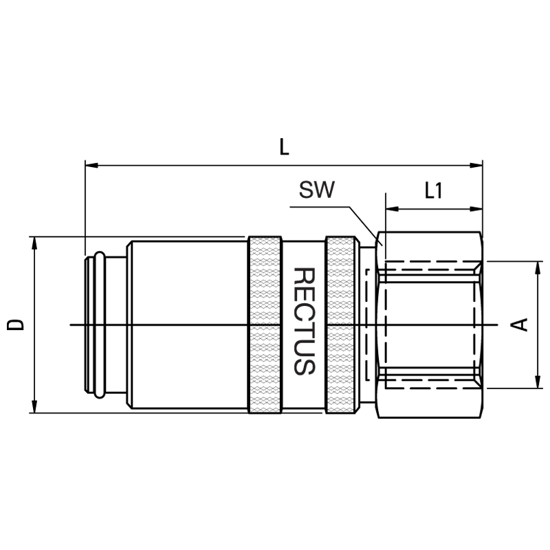 10KBIW17MVX