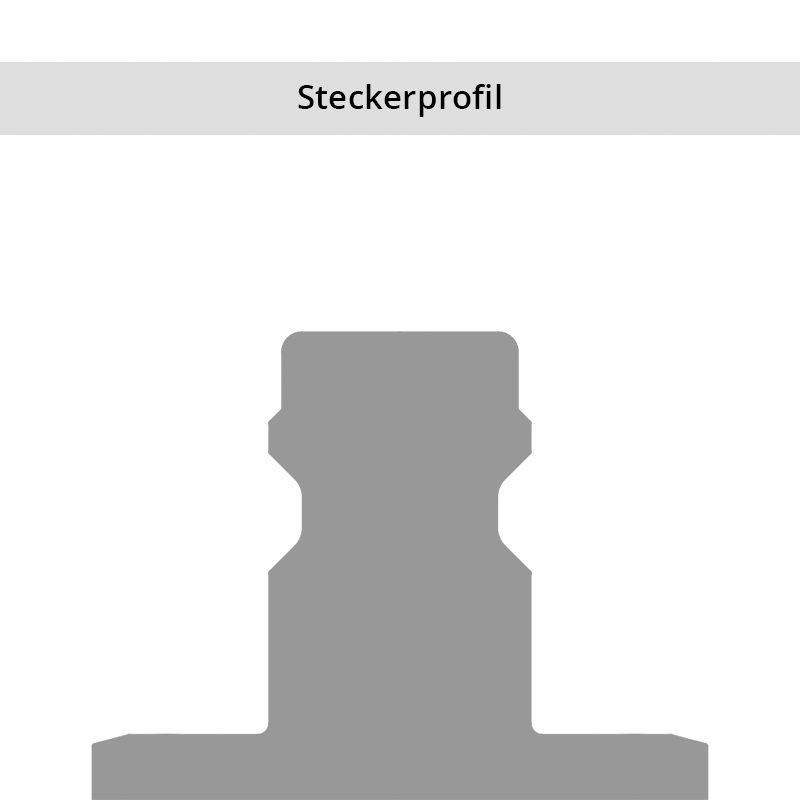 SP_21SFsVQaUeyj3zyY4 Steckerprofil Serie 21