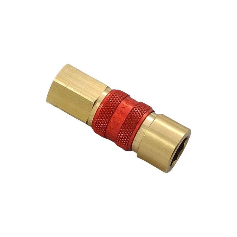 21KAIW10MPX8