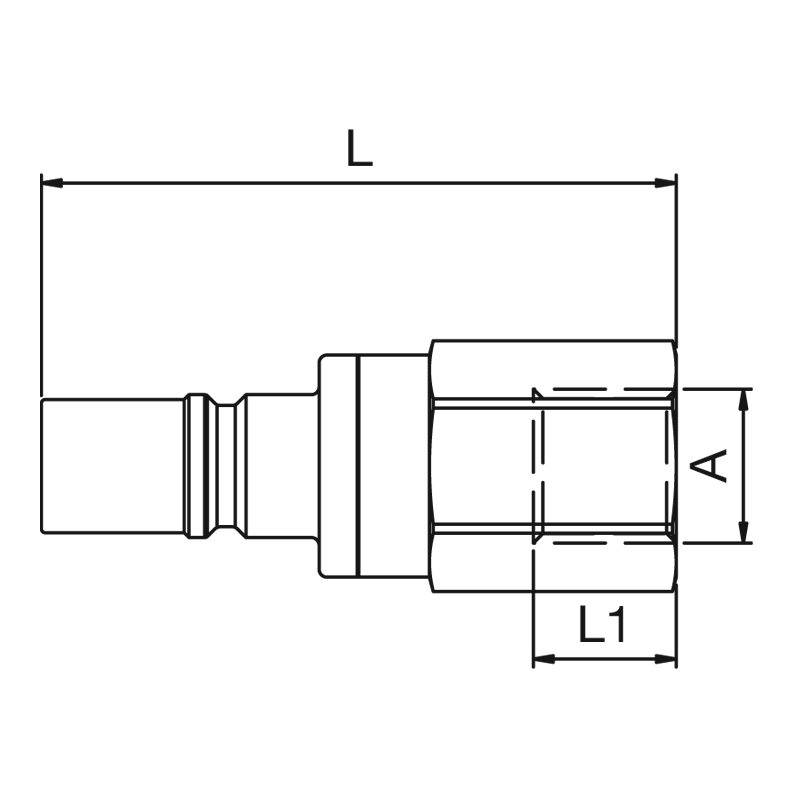 TZ_204SLIWEIu3GLscq83hX 204SLIW10EVX