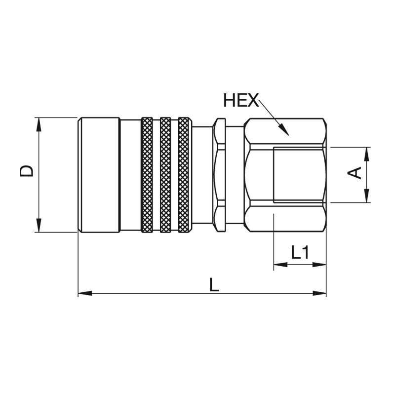 TZ_HP1010 HP1010 4131