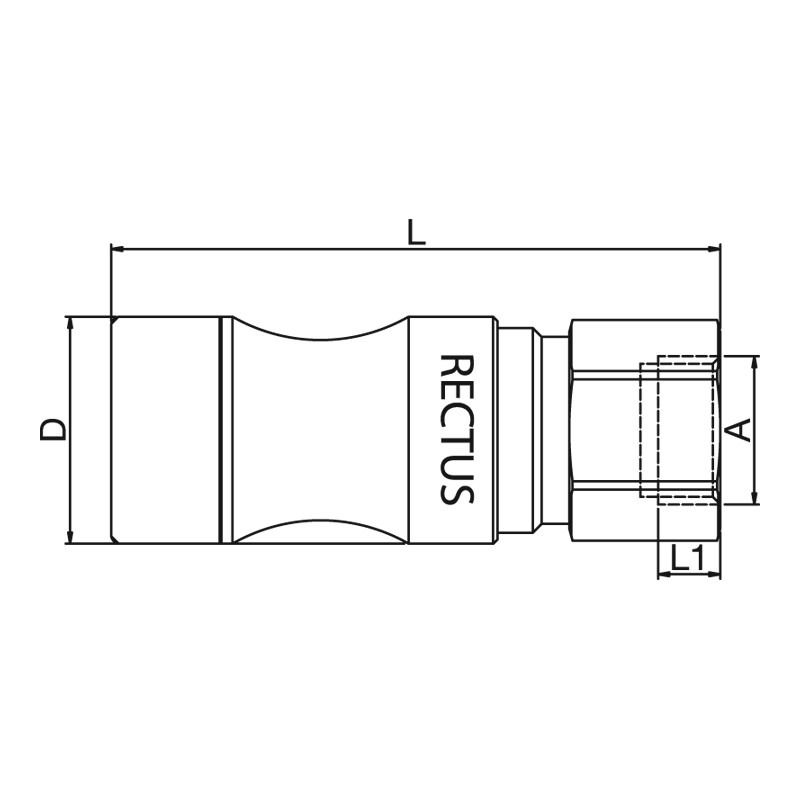 206KLIW21EVX