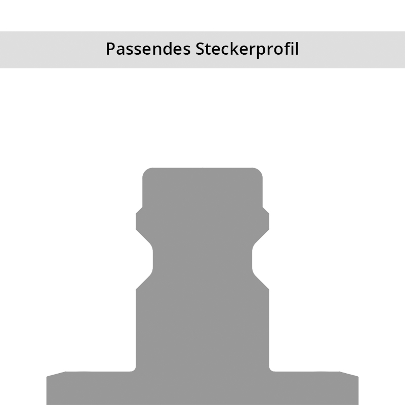 Steckerprofil Serie 21