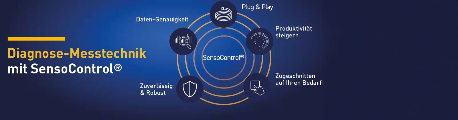 SensoControl Diagnose Messtechnik Hero Abbildung SensoControl Vorteile