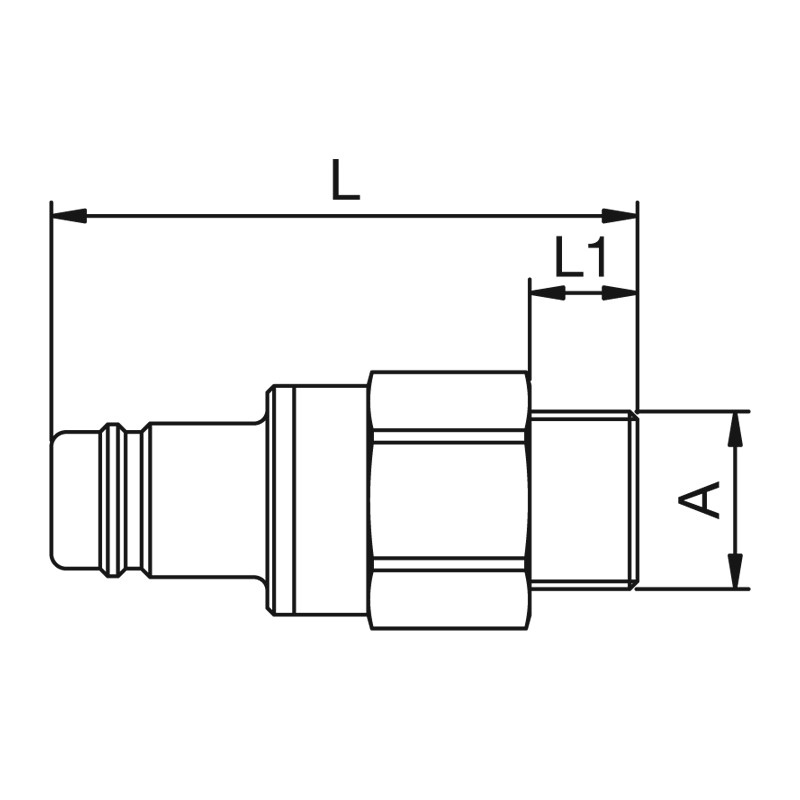 TZ_38SBAWaOdKp2BBbqpIG 38SBAW21MPX