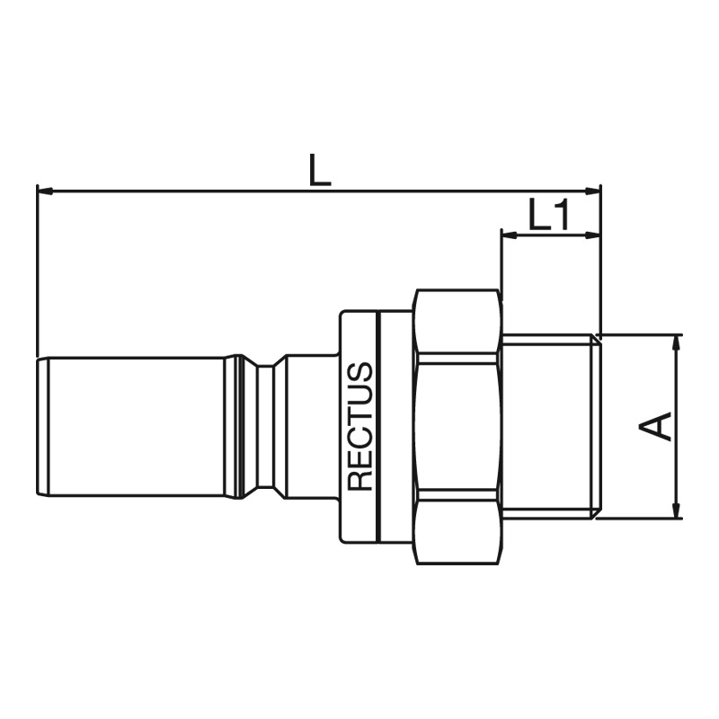 TZ_206SLAW24WWxOigMPI0u 206SLAW21EVX