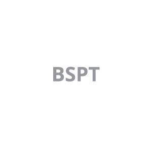 BSPT-Adapter